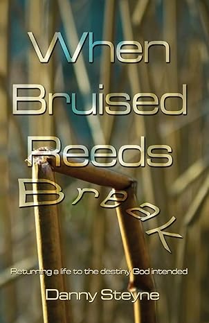 When Bruised Reeds Break: Returning A Life To The Destiny God Intended with Danny Steyne (Paperback)